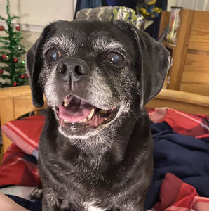 Meet your Posher, Jackson